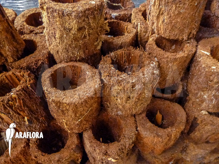 Tree fern pot xaxim ‚S‘