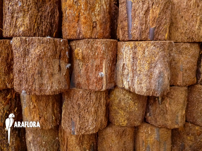 Tree fern pot xaxim ‚S‘