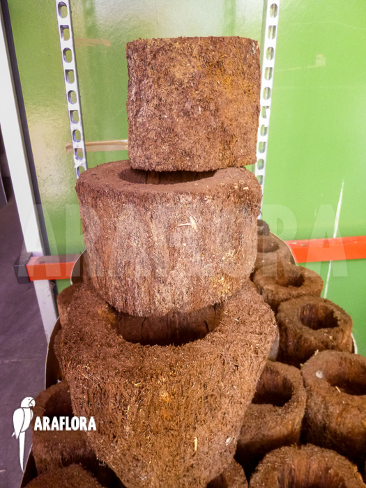 Tree-fern-pots-xaxim-3